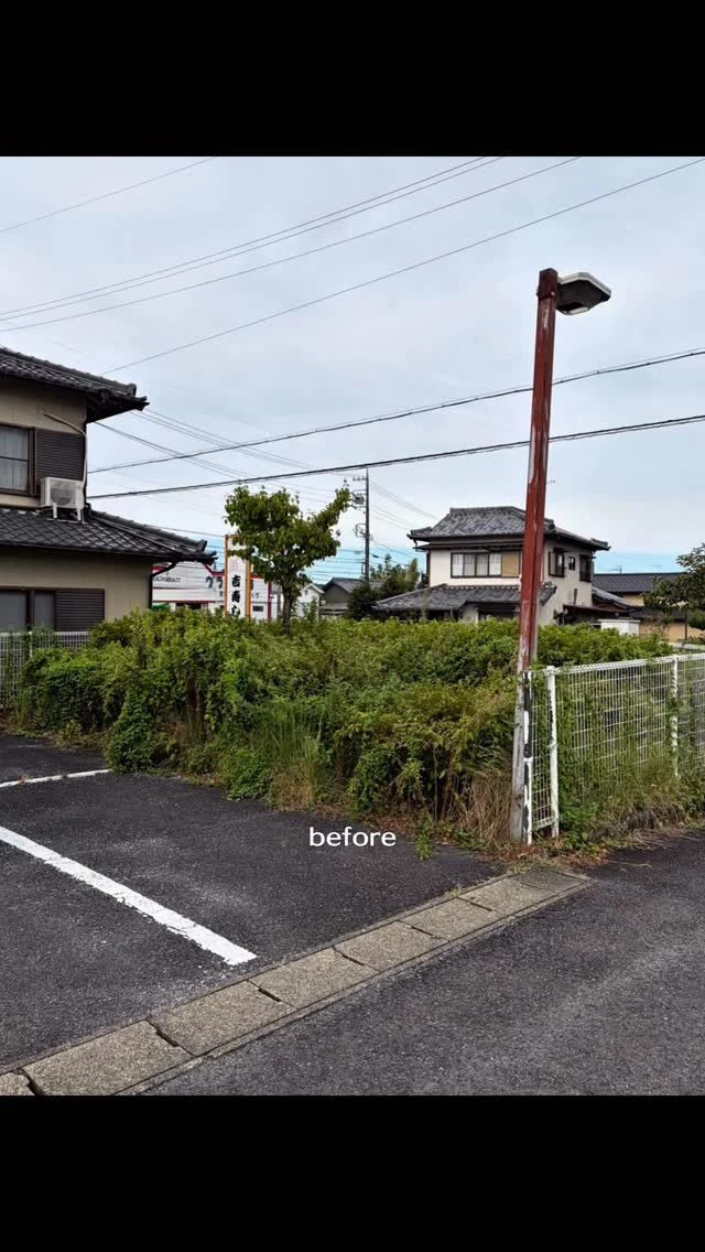 剪定、伐採、集積まで🌱‬