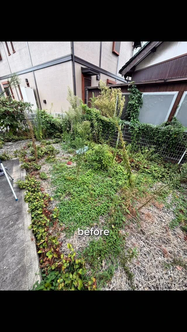 夏は草が伸びる時期...